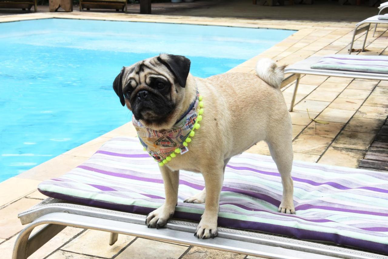 Pousada Portal do Cacau-Petfriendly Camburi (Sao Paulo) Exterior foto